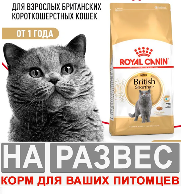 Корм для кошек РАЗВЕСНОЙ Royal Canin British Shorthair для британских короткошерстных кошек