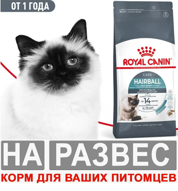 Корм Роял Канин РАЗВЕС Серый ВЫВОД ШЕРСТИ для кошек