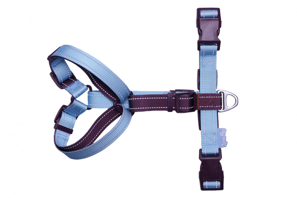 Шлейка анатомическая LionPets LP26-1 (Размер L Спинка 12-17 см, грудь 67-95 см, шея 49-77 см, стропа 3.2 см)n