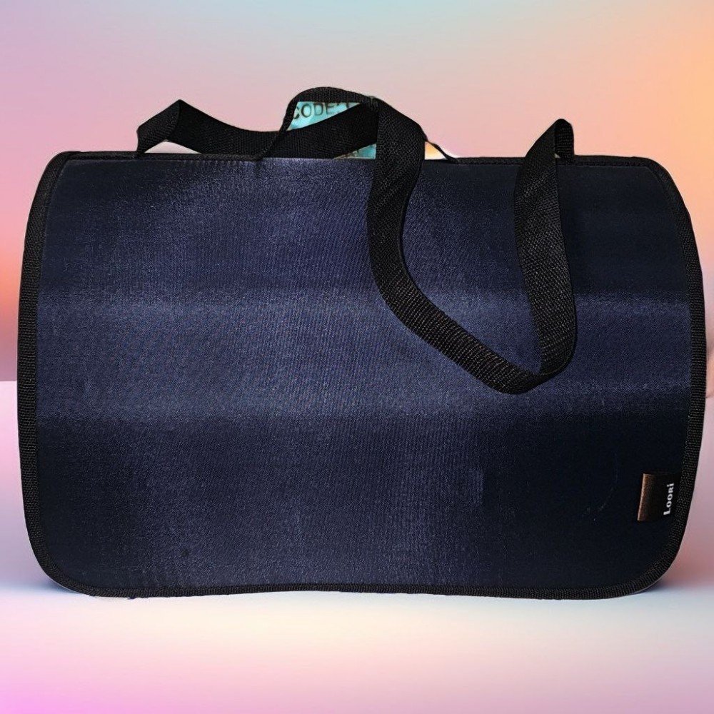 Сумка-переноска Loori Эконом синяя для животных 31*20*22