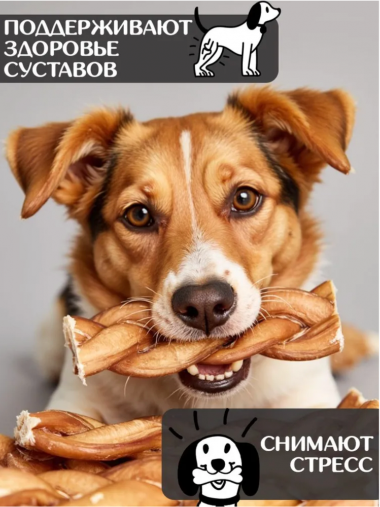 Лакомства Фор Родент Дог бычий корень КОСИЧКА 10 см 100 г УПАКОВКА