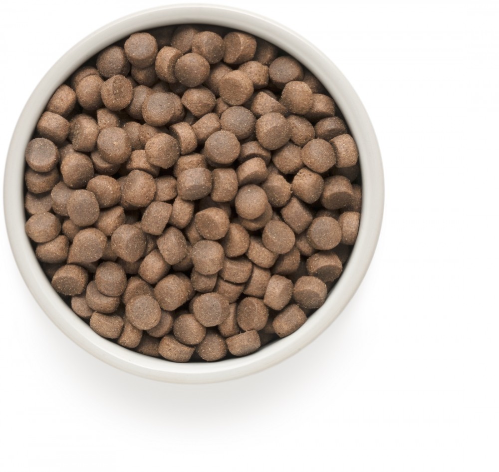 Сухой корм Grandorf White Fish MED&MAXI белая рыба с рисом для собак всех пород