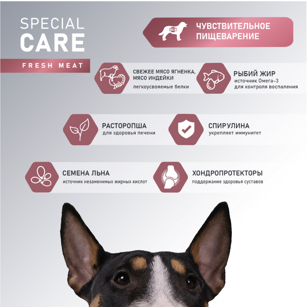 Сухой корм AWARD SPECIAL CARE Sensitive Digestion для взрослых собак всех пород с чувствительным пищеварением со свежим мясом ягненка