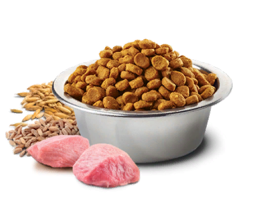 Сухой корм для собак Farmina ND низкозерновой для средних и крупных пород с ягненок с черникой