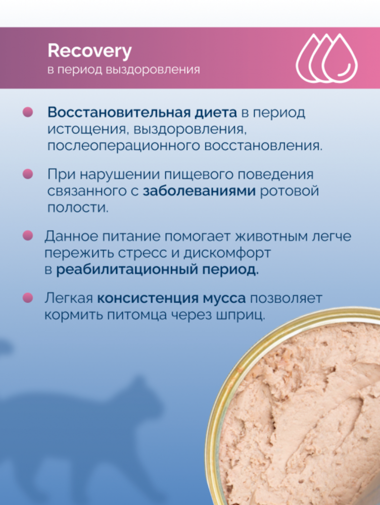 Консервы для кошек Lucky bits Recovery в период анорексии, выздоровления, 240 г