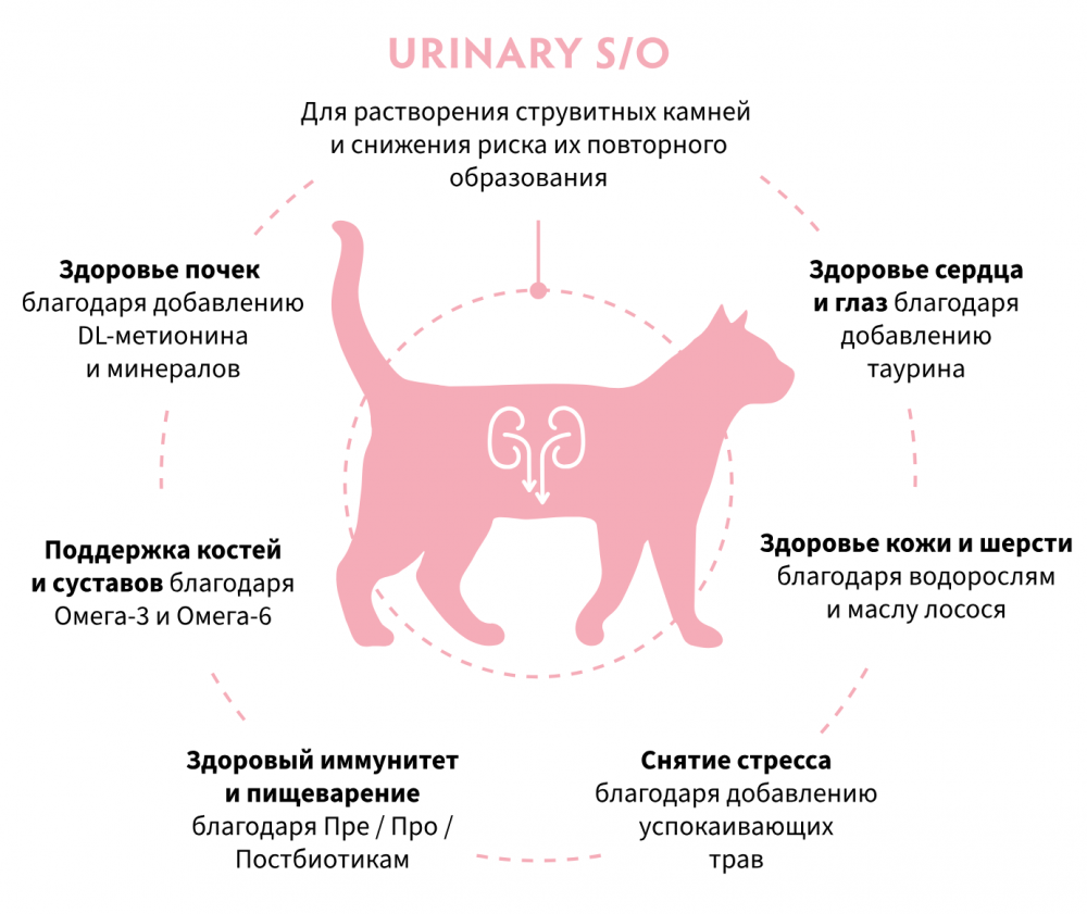 Корм Grandorf VET URINARY S/O для растворения струвитных мочевых камней для кошекn