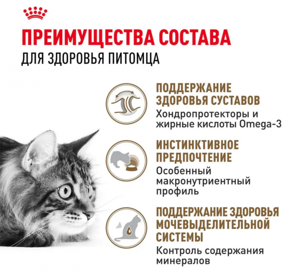 Влажный корм для кошек Royal Canin Ageing +12 кусочки в соусе старше 12 лет 85 г