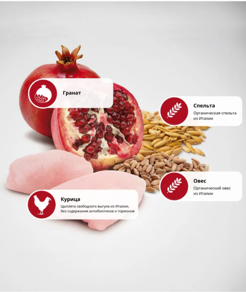 Корм FARMINA для стерилизованных кошек, курица с гранатом и спельтой, низкозерновой