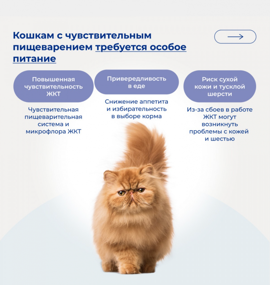 Корм Ярви Сенсетив с индейкой с чувствительным пищеварением для кошек