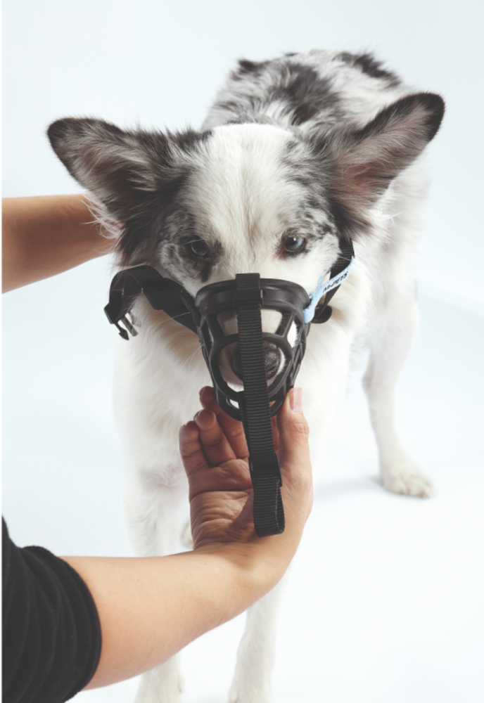 Намордник ТПЭ термопластичный эластомер L, 19 x 14 x 9 см, дл 14 см, окр. 37.5 см