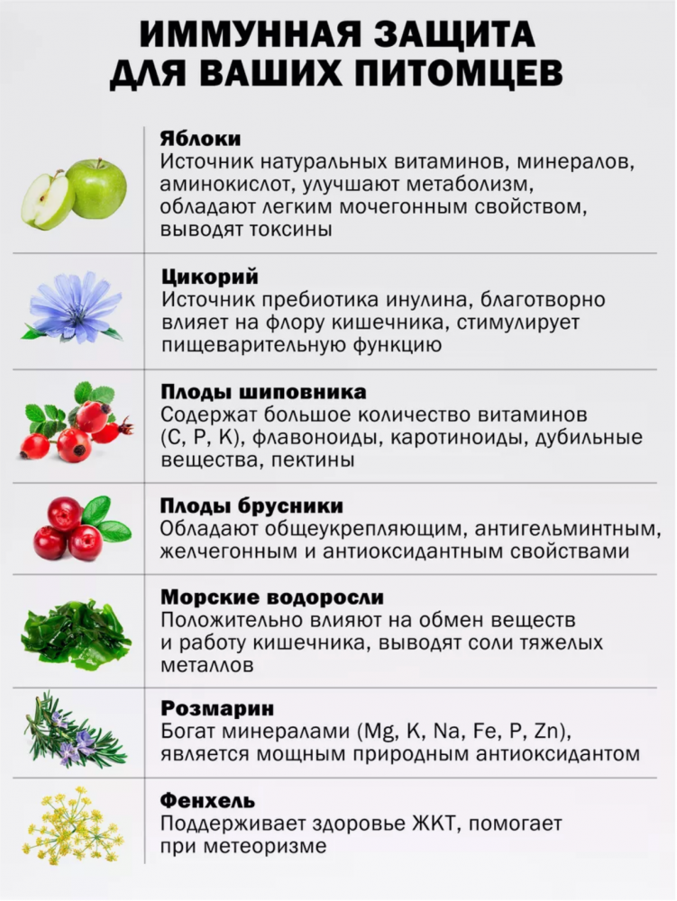 Корм Зооринг АДУЛЬТ УТКА с шиповником для кошек