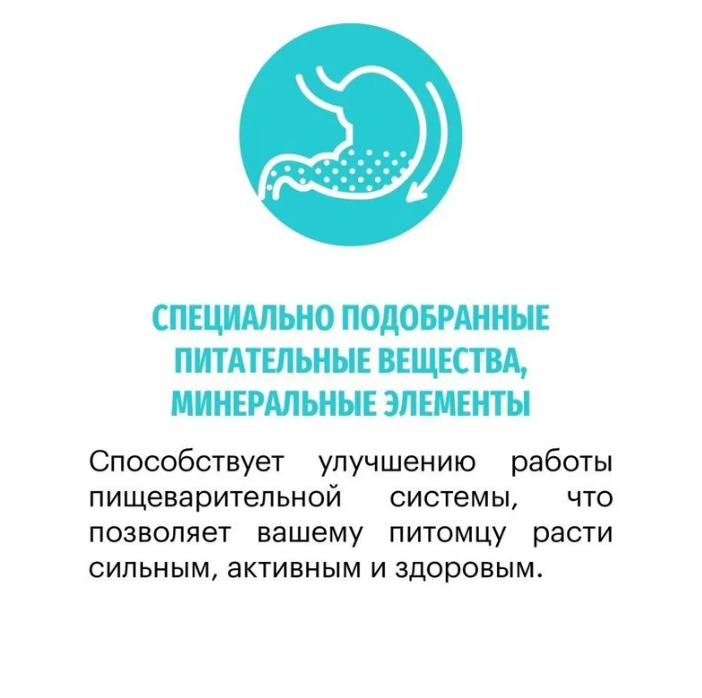 Корм Karmy HYPOALLERGENIC MEDIUM&MAXI для склонных к пищевой аллергии - ягненок